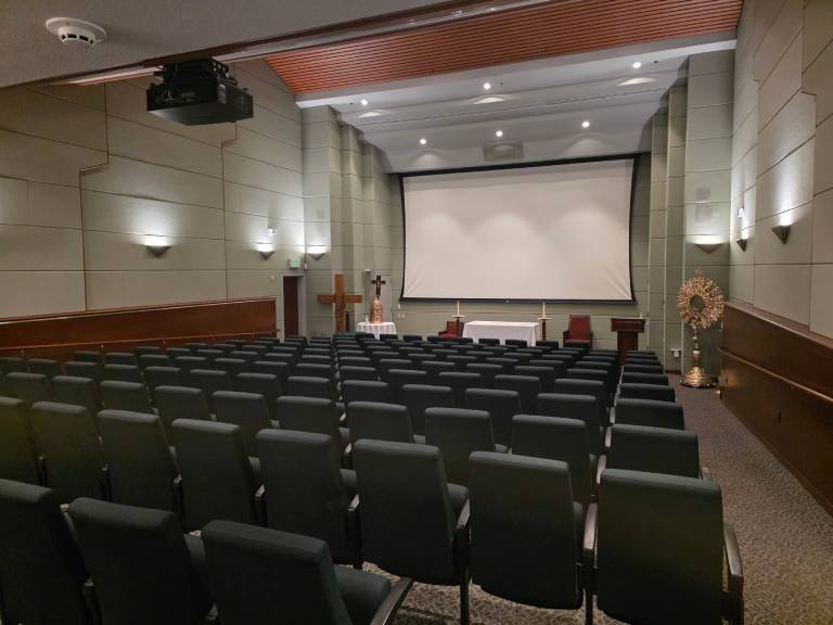 Theater in De Sousa House